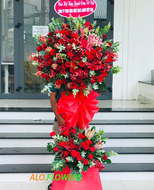 HOA KHAI TRƯƠNG