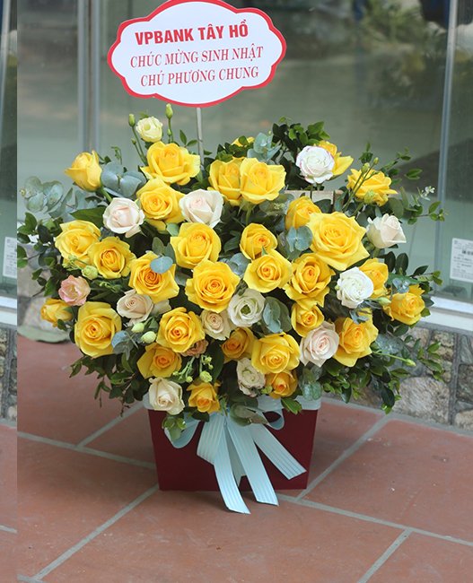 HOA SINH NHẬT