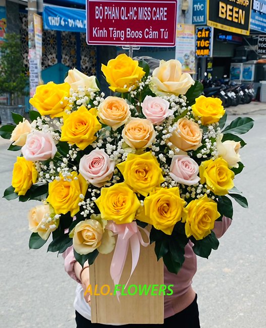 nắng mai rực rỡ