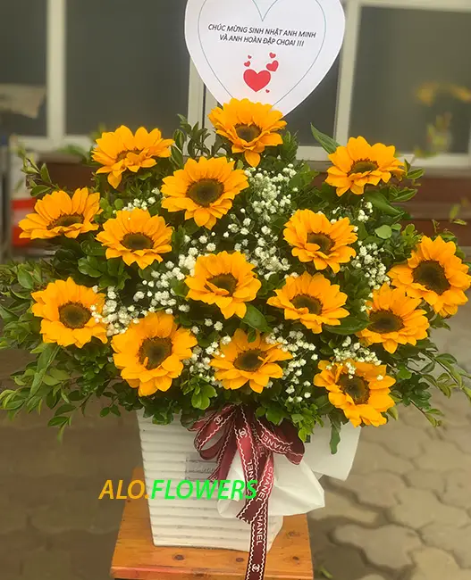 Hoa Quả Tươi Quận 2 Nghệ Thuật Chọn Lựa và Thưởng Thức